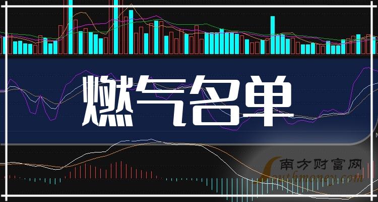 贵州燃气（600903）2023年年报简析：净利润增206.33%，短期债务压力上升