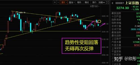 金融股全线回调！机构最新研判