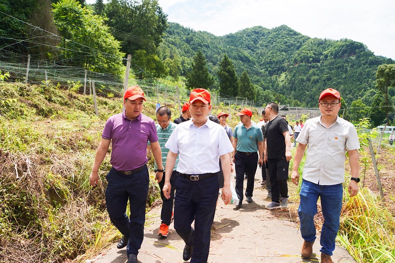 杨广元公参考察巴基斯坦国家农业研究中心